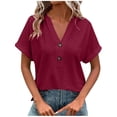 thumbnail image 2 of 4X-5X Plus Size Eyelet Tops for Women Hollow-Out Short Sleeve T Shirts Womens Casual Solid Color Pullover Button V Neck Summer Beach Tees Top, 2 of 7