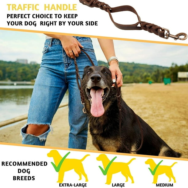 Braided leather dog leash 6 foot cheap