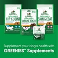 Greenies Supplements Digestive Probiotic For Dogs Supplement Powder, 30