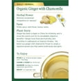 thumbnail image 4 of Traditional Medicinals Ginger with Chamomile Herbal Tea Organic, 16 CT (Pack - 3), 4 of 6
