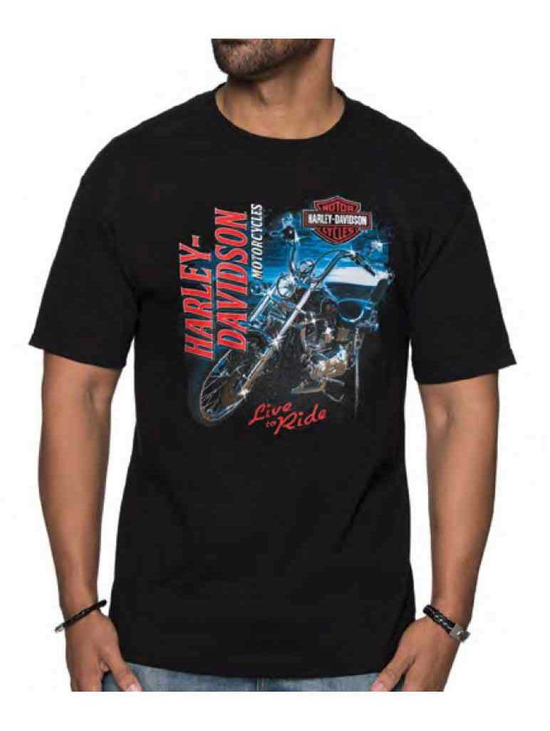 Harley-Davidson Men's Custom Freedom Short Sleeve Crew Neck Tee ...