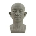 thumbnail image 5 of Blarkrus Planar Head Model for Artists Learn Planes of Face Standard Planar Head Male Head Model Human Manikin Head Model for Artists Drawing Skecthing Painting, 5 of 7