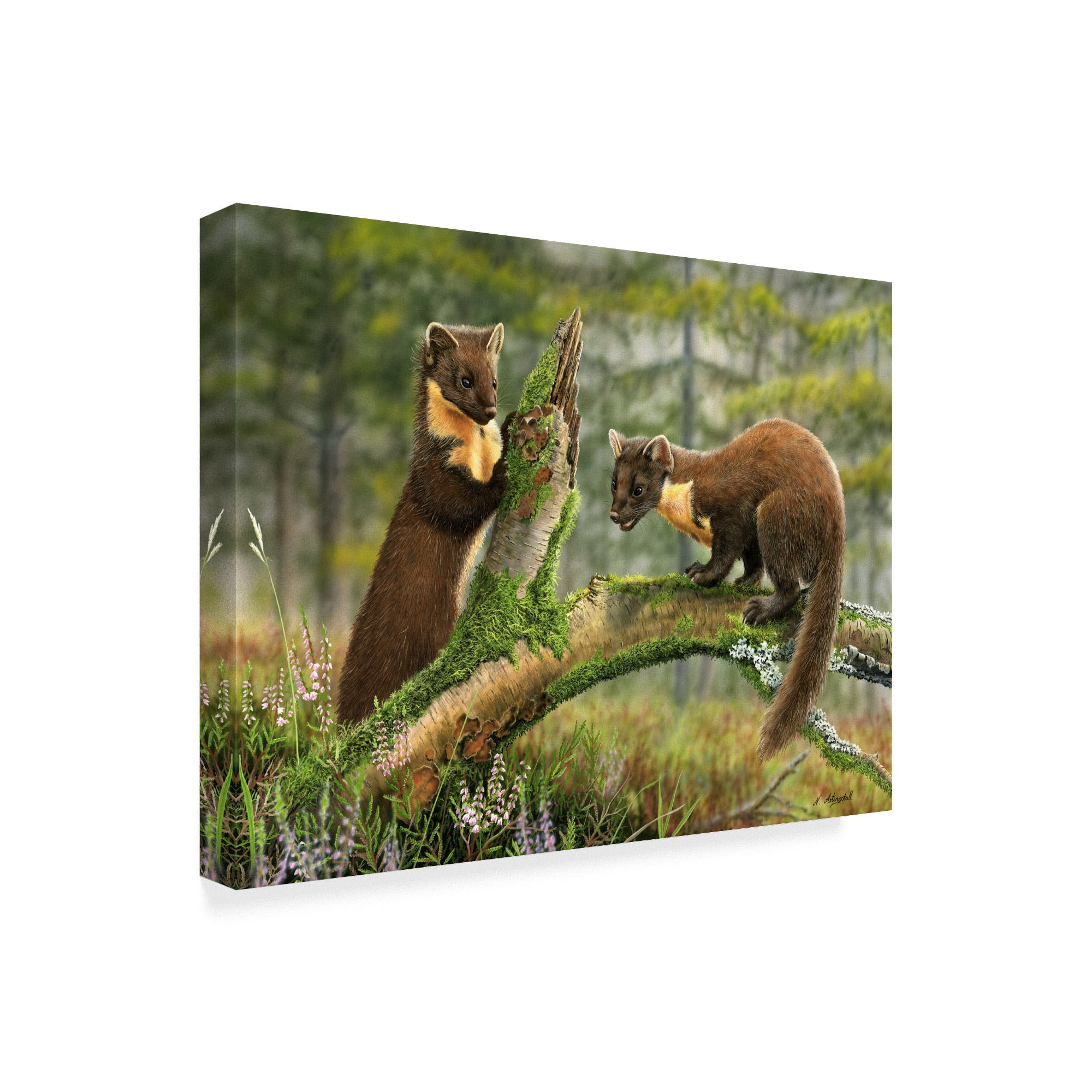 Trademark Fine Art 'Pine Martens' Canvas Art by Nigel Artingstall