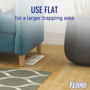 Terro Spider & Insect Traps, 10 Pack