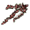 thumbnail image 1 of Ornamento Del Hábitat Del Terrario s Enredaderas La de Flexibles - - 30CM Salvador Reptiles Vine Jungle, 1 of 9