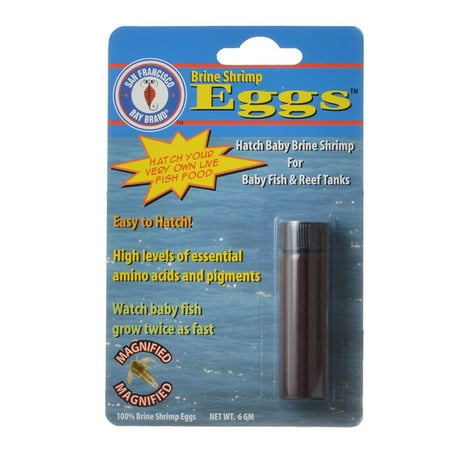 Feeding Brine Shrimp - San Francisco Bay Brand Asf65031 Brine Shrimp Eggs Vial For Baby Fish And Reef Tanks 6 Grams (Pack of 1)