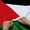 300D Polyester, variant on ANLEY Fly Breeze 3x5 Foot Palestine Flag - Vivid Color and Fade proof - Canvas Header and Double Stitched - Palestinian Flags Polyester with Brass Grommets 3 X 5 Ft