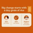 thumbnail image 4 of Jasberry Organic Superfood Rice, Vegan, 7oz 6 Pack, 9 Grains, 4 of 5