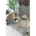 thumbnail image 2 of PAK HOME - Set of 2 End Table - High Gloss Grey Wood Round Sofa Side Coffee Tables for Small Spaces, Nightstand Bedside Table with Metal Silver Legs for Bedroom, Living Room, Home Office, Balcony, 2 of 6