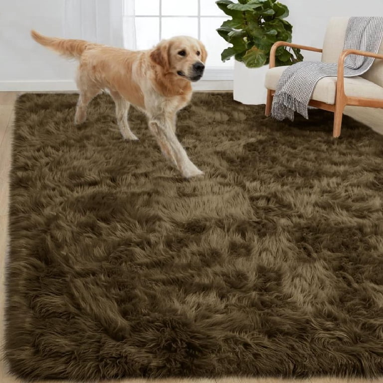 Sleeping Dog Rug Dog That Looks Like A Rug