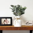 thumbnail image 2 of Mainstays Artificial Lamb's Ear in White Ceramic Pot (11.5"H x 7"W x 7"D), 2 of 5