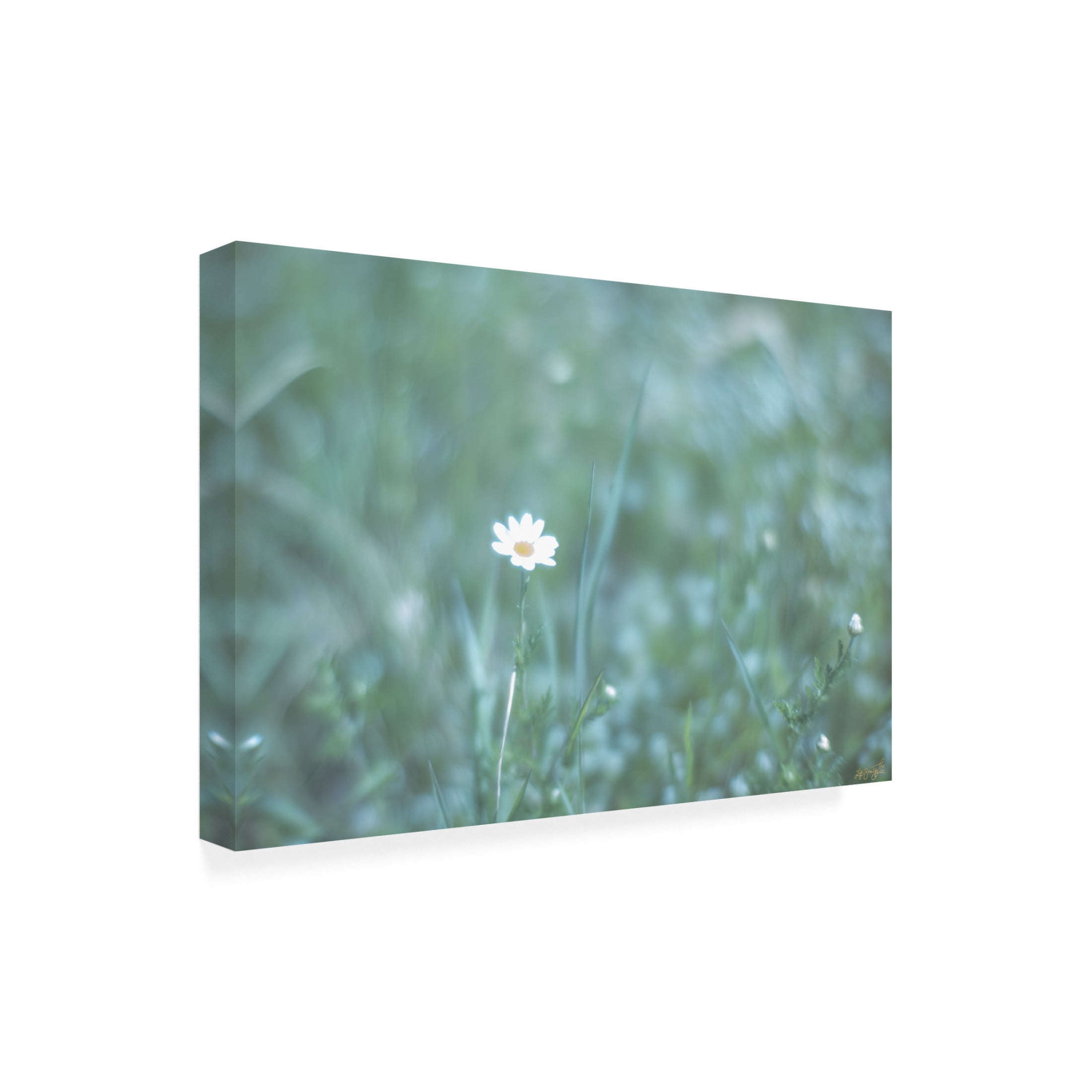 Canvas Wall Art - Life BeautifuLEE 'Glow Dream Floral' Wall Art for Living Room, Bedroom, or Office Décor by Trademark Fine Art - 32 x 22 Inches