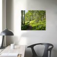 thumbnail image 4 of Fenyluxe Forest Wall Canvas Artwork Nature Tree Trail Path Landscape Wall Hanging Morning Sunshine Through Green Tree for Home Office Indoor and Outdoor Decor Canvas Wall Art Print 20x16in, 4 of 6