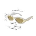 thumbnail image 3 of Cat Eye Sunglasses For Women Retro Oval Frame Style Sun Glasses Fashion Accessories, 3 of 5