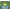 Green Heather, variant on MUK LUKS Men's All Star Dad Jersey Scuff Slipper