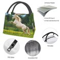 thumbnail image 4 of Lukts Horse Rearing Up In The Field Pattern Small Lunch Bag for Men Women Insulated Lunch Box Mini Lunchbox Portable Lunch Cooler Bag,Reusable Snack Bag, 4 of 6