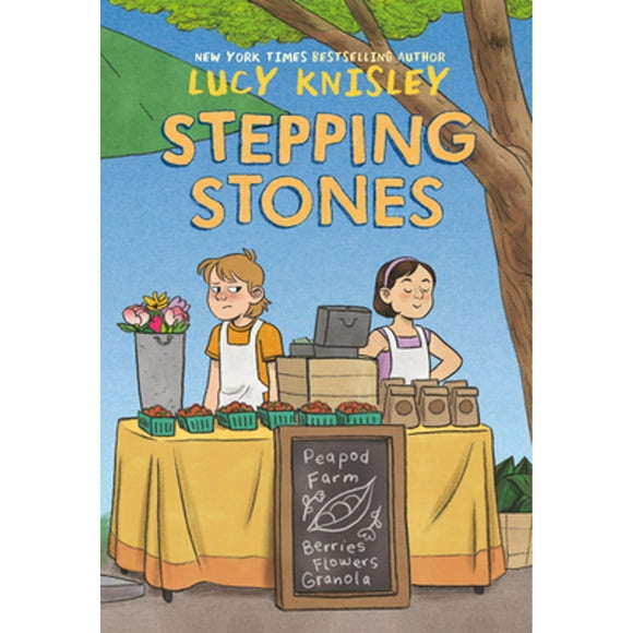 Pre-Owned Stepping Stones: (A Graphic Novel) (Paperback 9781984896841) by Lucy Knisley