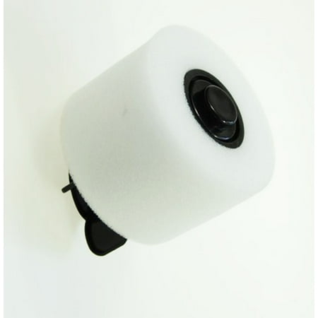 ionflex duoclean hepa