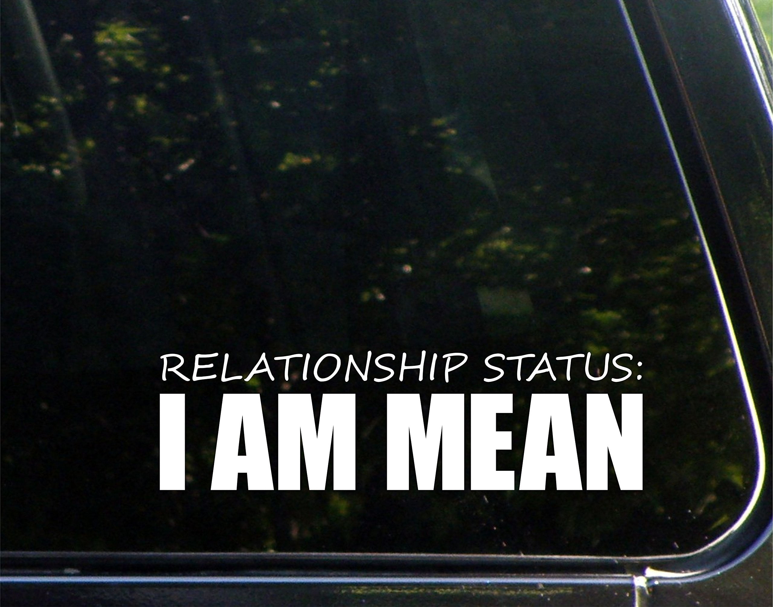 Relationship Status I Am Mean 83/4" x 21/2" Vinyl Die Cut Decal