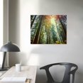 thumbnail image 3 of Nawypu California Redwoods Sun-Rays and Sky Art Print Wall Art Poster Living Room Office Decor Art Print Poster Modern Family Bedroom Decor Posters (20x16 inch), 3 of 4