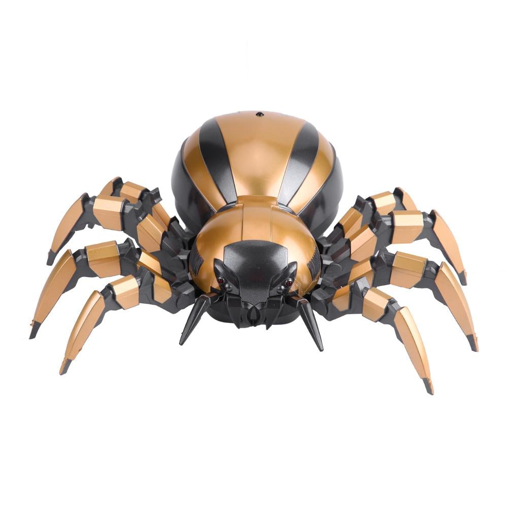 rc spider