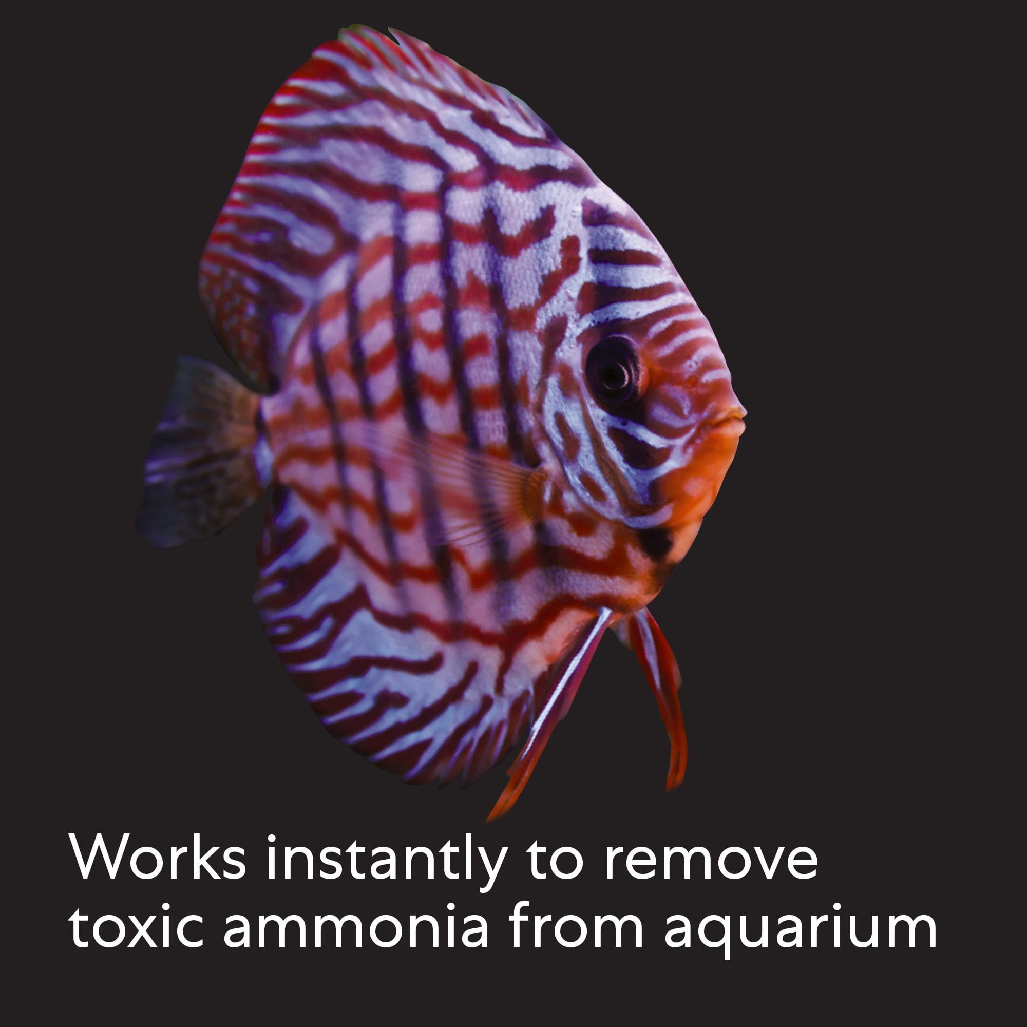 Aquarian By API Ammonia Remover 8 oz. Bottle