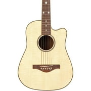 Daisy Rock Wildwood Acoustic Guitar (Purple Daze)