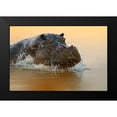 thumbnail image 2 of Chang, Phillip 24x17 Black Modern Framed Museum Art Print Titled - The rise of the hippo, 2 of 5