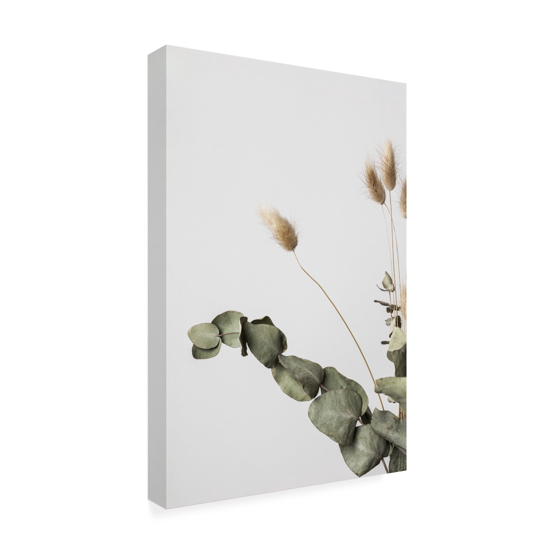 Trademark Fine Art Pictufy Studio Dried Canvas Wall Art