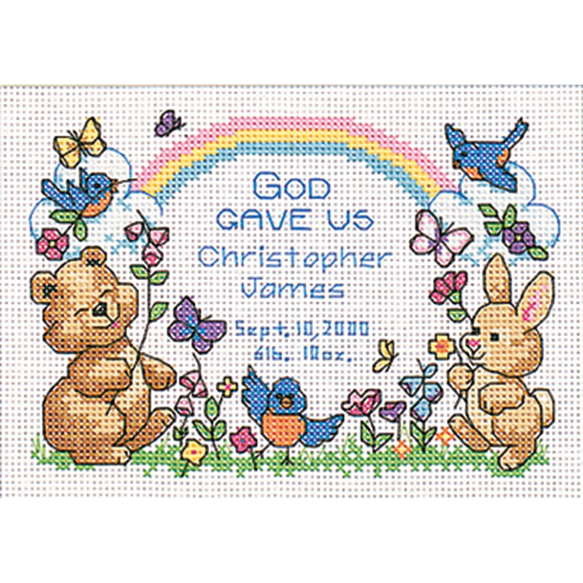 dimensions-god-s-babies-birth-record-mini-counted-cross-stitch-kit-7-x-5-walmart