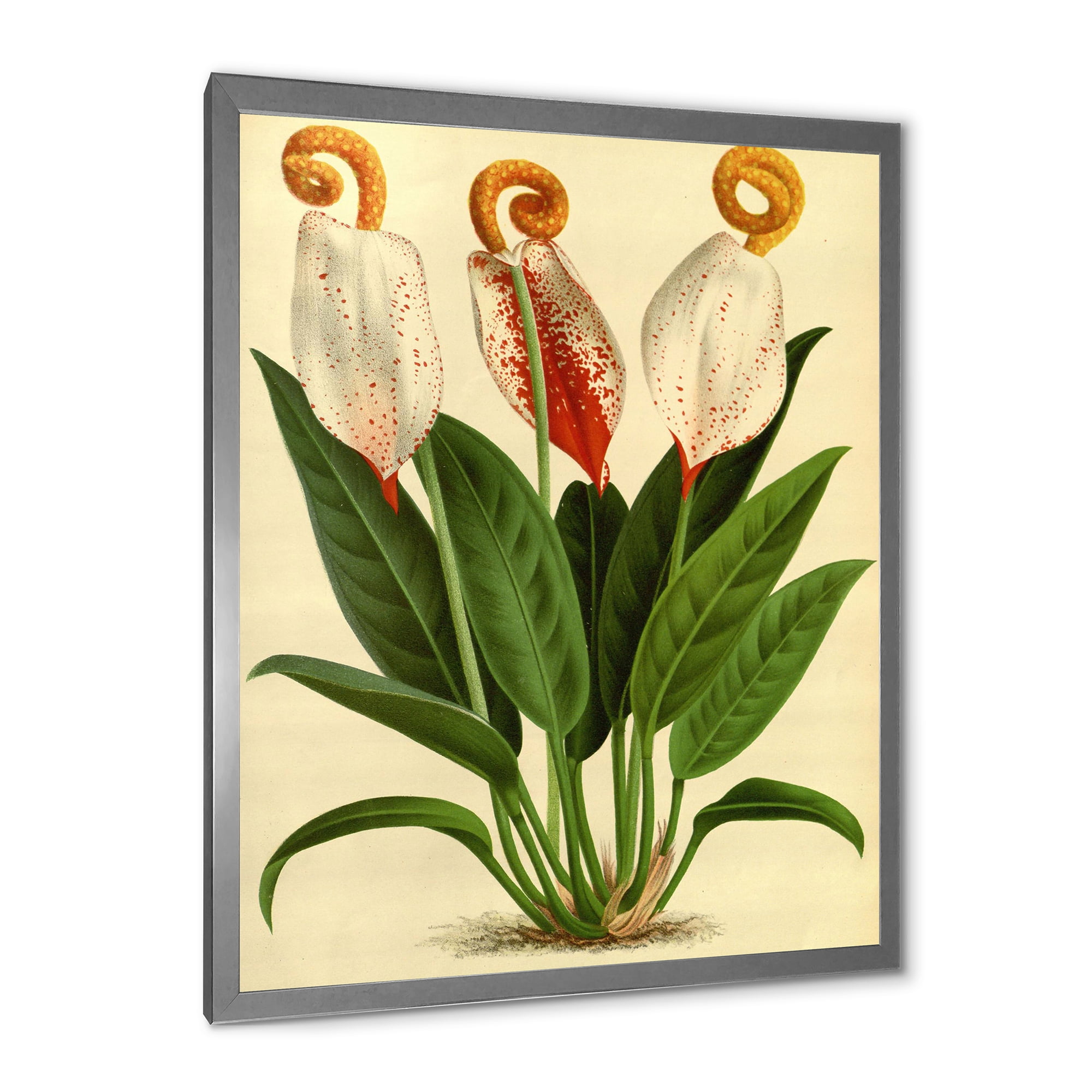 Designart 'Retro Wildflowers' Farmhouse Framed Art Print