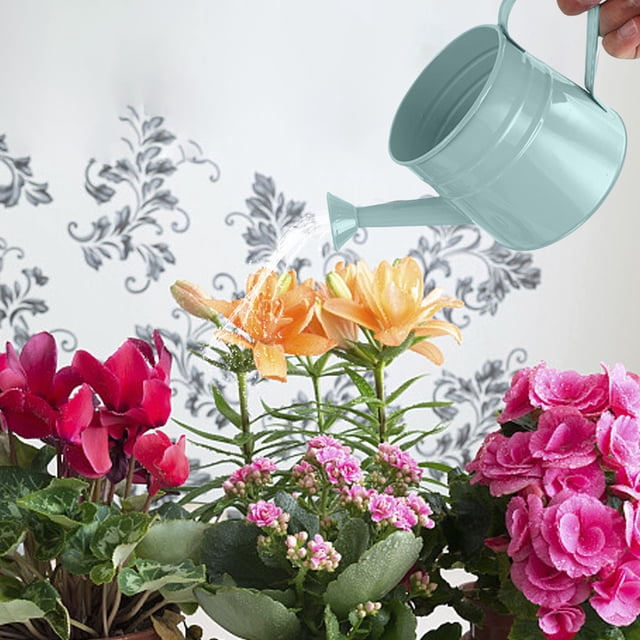 Xihbxyly Regadera de Metal, Diseño Floral Vintage, Hierro Resistente, Riego Eficiente para Plantas, Uso Interior y Exterior, Mango Ergonómico, Capacidad de 1,5 L, Tamaño 27 X 11 X 11,5 Cm