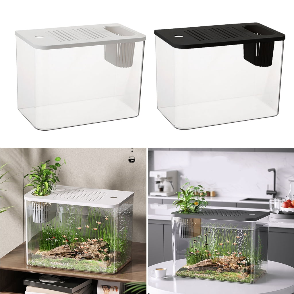 Tizuqe Scratch Resistant Clear Water Tanks Fish Bowl With Spillprevent Lid Plant Holder