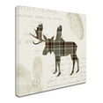 thumbnail image 2 of Trademark Fine Art 'Plaid Lodge IV Tan' Canvas Art by Wild Apple Portfolio, 2 of 3