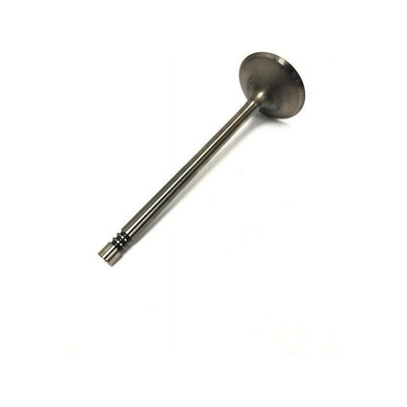 Exhaust Valve - Compatible with 2010 - 2017 GMC Terrain 2011 2012 2013 2014 2015 2016