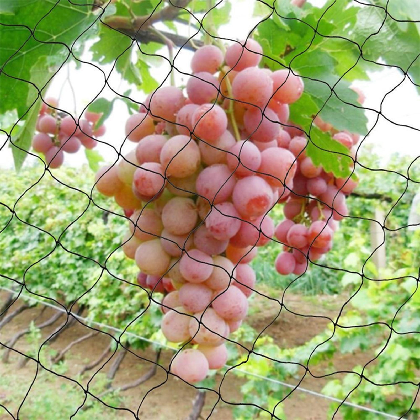 5M Wide Anti Bird Garden Pond Net Fruit Crop Seed Flower Plant Veg Protective UK 