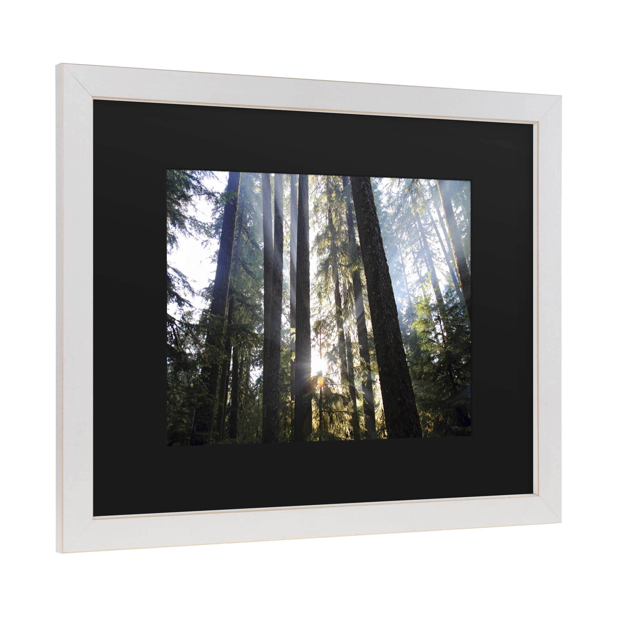 Trademark Fine Art 'Sunrays' Canvas Art by Pierre Leclerc