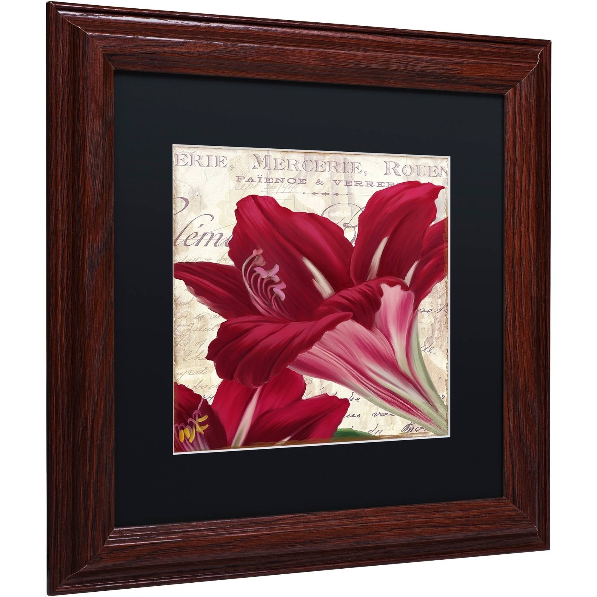 Trademark Fine Art "Amaryllis " Canvas Art by Color Bakery Black Matte, Wood Frame