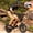Orange, variant on ESKUTE Electric Bike for Teens & Adults, 750W Motor (1500W Peak), 28mph Speed, 48V 13Ah Battery, 16"x4.0" Fat Tires, 7-Speed E-Bike with Dual Suspension, Black
