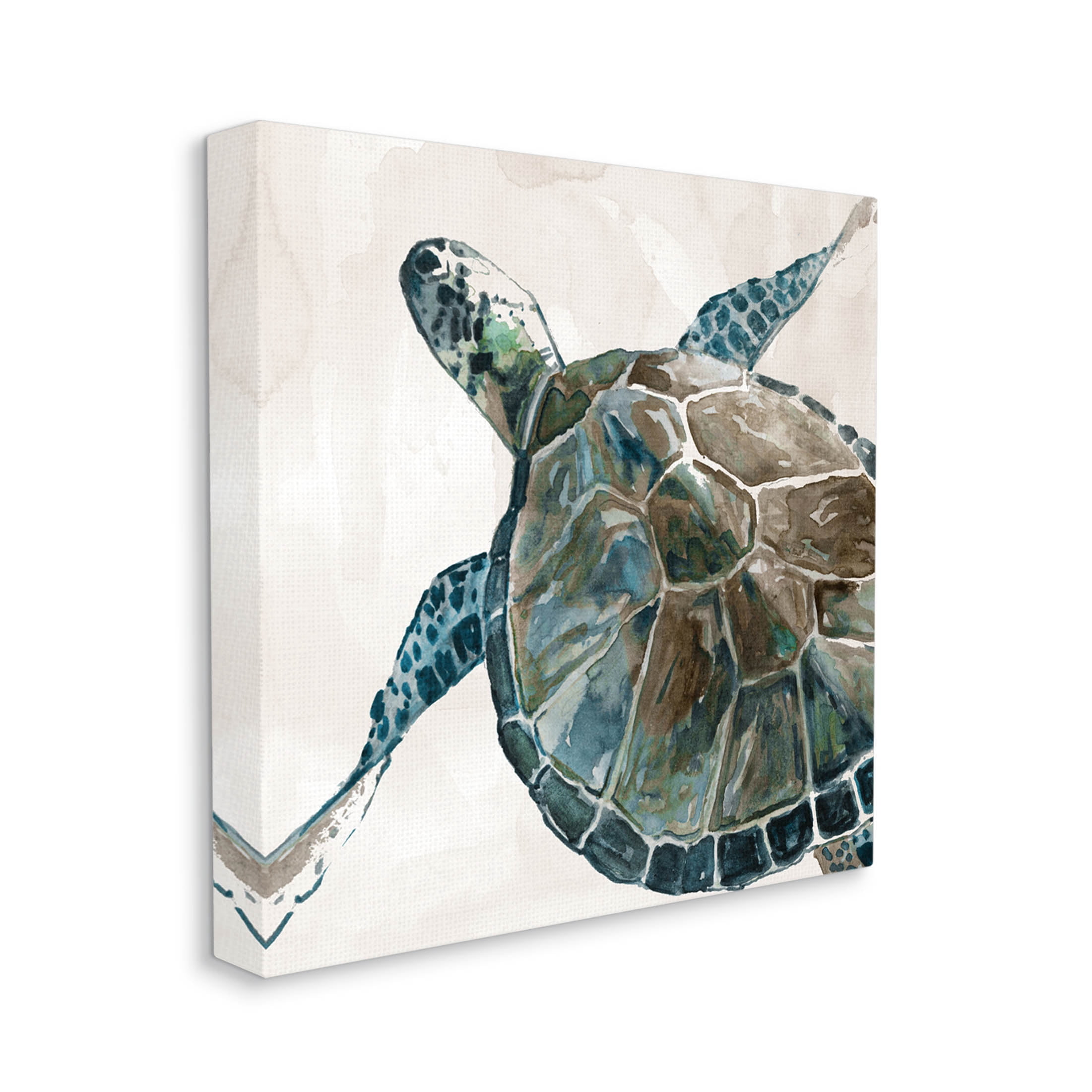 Stupell Industries Beige Sea Turtle Swimming Graphic Art Gallery Wrapped Canvas Print Wall Art, Design by Carol Robinson