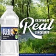 thumbnail image 4 of Deer Park Spring Water, 20 Fl Oz, Single Plastic Bottle, 4 of 13