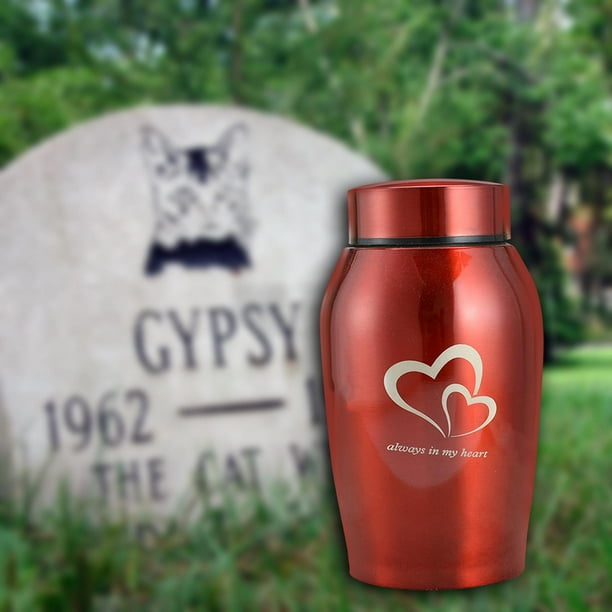 Cremación conmemorativa s para mascotas Caja de Ataúd Recuerdo Caja de recuerdo Memoria Suministros para mascotas Recuerdos para Salvador Urna de cremación