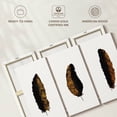thumbnail image 6 of Elephant Stock Gilded Feather Trio Wall Art - Horizontal Multi Panel Canvas - Living Room Wall Decor - Decor Elements Multi Panel - Black And Gold Decor - 50" x 32", 6 of 8