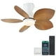 thumbnail image 1 of Ventilador de techo Kviflon Low Profile con luces y mando a distancia de 30 pulgadas, 1 of 9