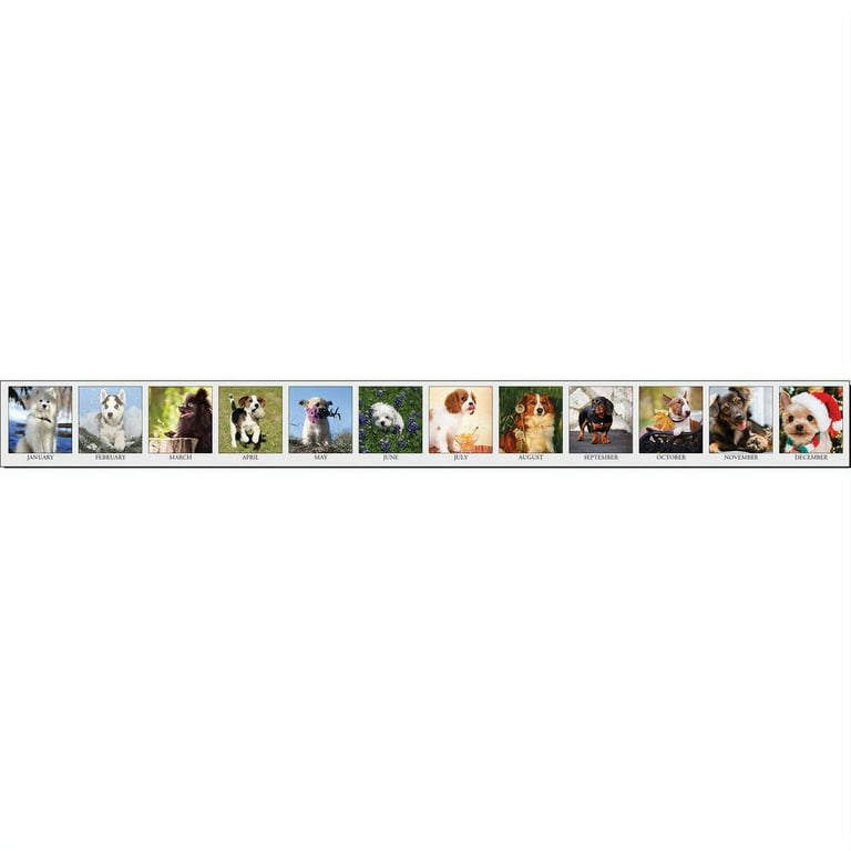 House of Doolittle Earthscapes Puppies Photo Desk Pad - Julian Dates - Monthly - 12 Month - January 2024 - December 2024 - 1 Day Single Page Layout - 22 House of Doolittle Earthscapes Puppies Photo Desk Pad - Julian Dates - Monthly - 12 Month - January 2024 - December 2024 - 1 Day Single Page Layout - 22