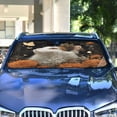 thumbnail image 5 of Foldable Car Windshield Sunshade UV Sun Visor Protector Blocks UV Rays Keeps Vehicle Cool 57x31.5 Inch Fluffy White and Brown Cat, 5 of 8