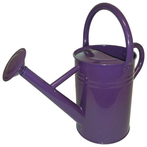 Galvanized Steel Watering Can 1-Gallon-Plum