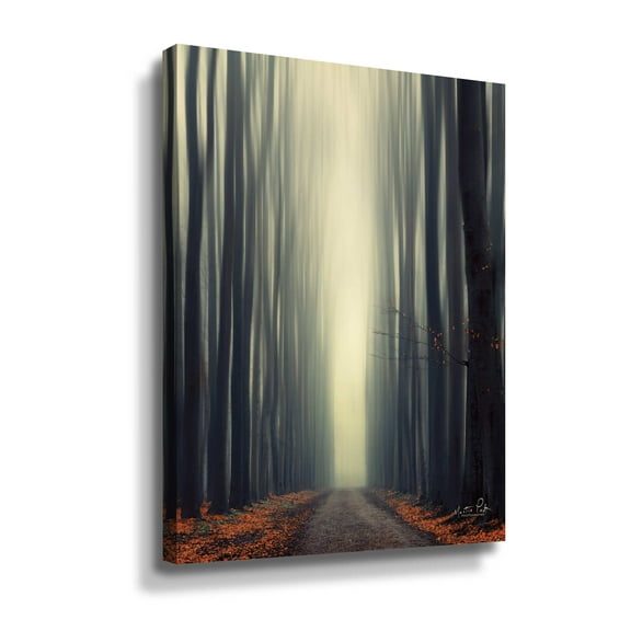 Artwall Reaching Out, Gallery Wrapped Canvas by Martin Podt