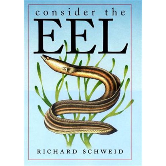 Pre-Owned Consider the Eel (Paperback)