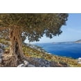 thumbnail image 4 of Hermes Dimarakis Olive Snack with Greek herbs imported from Greece, 180 g, 4 of 7